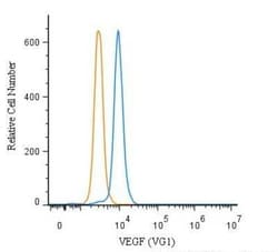 Invitrogen VEGF Monoclonal Antibody (VG1) 100 &mu;g; Unconjugated:Antibodies,