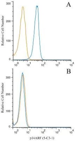 Invitrogen p19ARF Monoclonal Antibody (5-C3-1) 100 &mu;L; Unconjugated:Antibodies,
