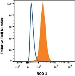Invitrogen NQO1 Monoclonal Antibody (A180) 100 &mu;L; Unconjugated:Antibodies