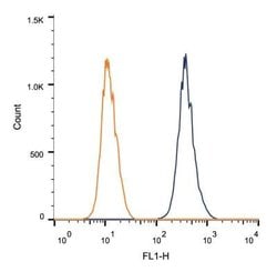Invitrogen CUGBP1 Monoclonal Antibody (3B1) 100 &mu;L; Unconjugated:Antibodies,