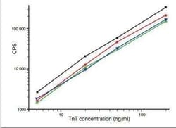 Invitrogen Cardiac Troponin T Monoclonal Antibody (1C11cc) 200 &mu;g; Unconjugated:Antibodies,