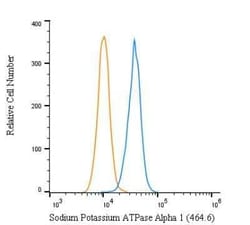 Invitrogen ATP1A1 Monoclonal Antibody (464.6) 50 &mu;L | Buy Online | Invitrogen&trade; | Fisher Scientific