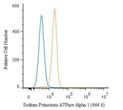 Invitrogen ATP1A1 Monoclonal Antibody (464.6) 50 &mu;L | Buy Online | Invitrogen&trade; | Fisher Scientific