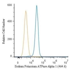 Invitrogen ATP1A1 Monoclonal Antibody (464.6) 50 &mu;L | Buy Online | Invitrogen&trade; | Fisher Scientific
