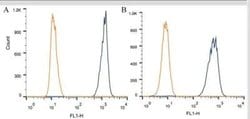 Invitrogen Apolipoprotein A5 Monoclonal Antibody (1G5G9) 100 &mu;L; Unconjugated:Antibodies,