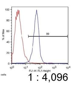 Invitrogen ABCA1 Monoclonal Antibody (5A1-1422.11) 100 &mu;L; Unconjugated:Antibodies,