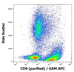 Invitrogen CD9 Monoclonal Antibody (MEM-61) 100 &mu;g; Unconjugated:Antibodies,