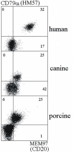 Invitrogen CD20 Monoclonal Antibody (MEM-97) 100 &mu;g; Unconjugated:Antibodies,