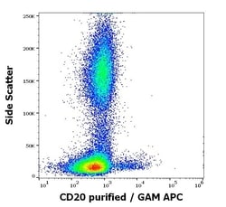 Invitrogen CD20 Monoclonal Antibody (MEM-97) 100 &mu;g; Unconjugated:Antibodies,