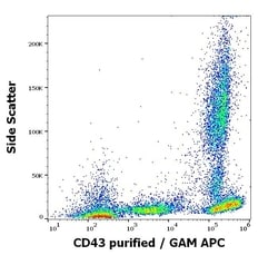Invitrogen CD43 Monoclonal Antibody (MEM-59) 100 &mu;g; Unconjugated:Antibodies,
