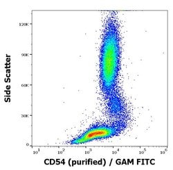 Invitrogen ICAM-1 Monoclonal Antibody (1H4) 100 &mu;g | Buy Online | Invitrogen&trade; | Fisher Scientific