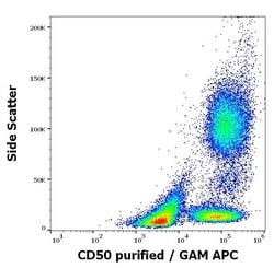 Invitrogen ICAM-3 Monoclonal Antibody (MEM-04) 100 &mu;g; Unconjugated:Antibodies,