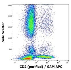 Invitrogen CD2 Monoclonal Antibody (MEM-65) 100 &mu;g | Buy Online | Invitrogen&trade; | Fisher Scientific