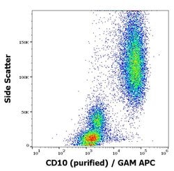 Invitrogen CD10 Monoclonal Antibody (MEM-78) 100 &mu;g; Unconjugated:Antibodies,