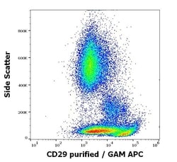 Invitrogen ITGB1 Monoclonal Antibody (MEM-101A) 100 &mu;g; Unconjugated:Antibodies,
