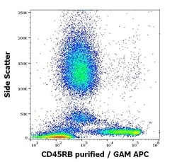 Invitrogen CD45RB Monoclonal Antibody (MEM-55) 100 &mu;g; Unconjugated:Antibodies,