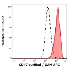 Invitrogen CD47 Monoclonal Antibody (MEM-122) 100 &mu;g; Unconjugated:Antibodies,
