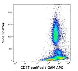 Invitrogen CD47 Monoclonal Antibody (MEM-122) 100 &mu;g; Unconjugated:Antibodies,