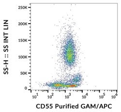Invitrogen CD55 Monoclonal Antibody (MEM-118) 100 &mu;g; Unconjugated:Antibodies,