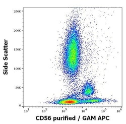 Invitrogen CD56 Monoclonal Antibody (MEM-188) 100 &mu;g; Unconjugated:Antibodies,
