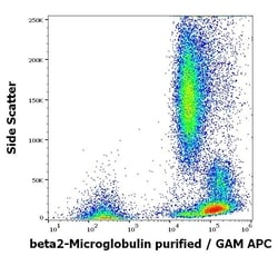 beta-2 Microglobulin Monoclonal Antibody (B2M-01), Invitrogen 100 &mu;g;