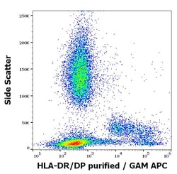 Invitrogen HLA-DR/DP Monoclonal Antibody (HL-38) 100 &mu;g; Unconjugated:Antibodies,