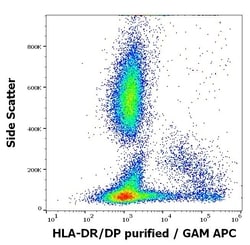 Invitrogen HLA-DR/DP Monoclonal Antibody (HL-40) 100 &mu;g; Unconjugated:Antibodies,