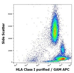 Invitrogen HLA-ABC Monoclonal Antibody (MEM-81) 100 &mu;g; Unconjugated:Antibodies,