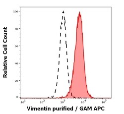 Invitrogen Vimentin Monoclonal Antibody (VI-01) 100 &mu;g; Unconjugated:Antibodies,