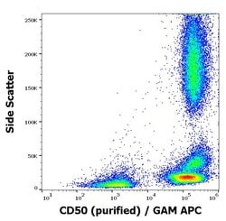 Invitrogen ICAM-3 Monoclonal Antibody (MEM-171) 100 &mu;g; Unconjugated:Antibodies,