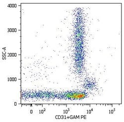 Invitrogen CD31 Monoclonal Antibody (MEM-05) 100 &mu;g; Unconjugated:Antibodies,