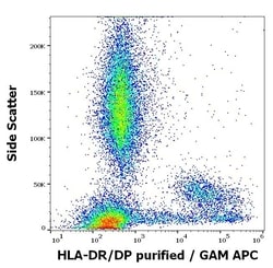 Invitrogen HLA-DR/DP Monoclonal Antibody (MEM-136) 100 &mu;g; Unconjugated:Antibodies,