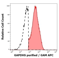 Invitrogen GAPDHS Monoclonal Antibody (Hs-8) 100 &mu;g; Unconjugated:Antibodies,