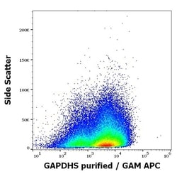 Invitrogen GAPDHS Monoclonal Antibody (Hs-8) 100 &mu;g; Unconjugated:Antibodies,