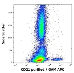 Invitrogen CD21 Monoclonal Antibody (LT21) 100 &mu;g; Unconjugated:Antibodies,