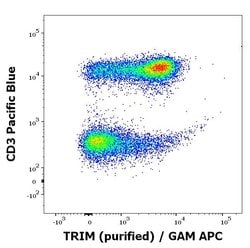 Invitrogen TRIM Monoclonal Antibody (TRIM-04) 100 &mu;g; Unconjugated:Antibodies,