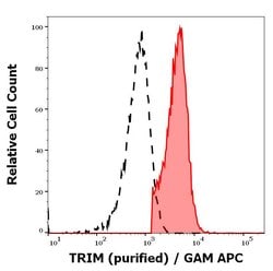 Invitrogen TRIM Monoclonal Antibody (TRIM-04) 100 &mu;g; Unconjugated:Antibodies,