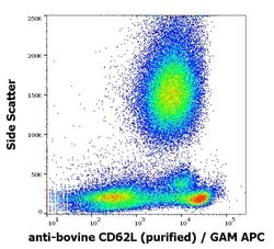 Invitrogen CD62L Monoclonal Antibody (IVA94) 100 μg; Unconjugated:Antibodies,