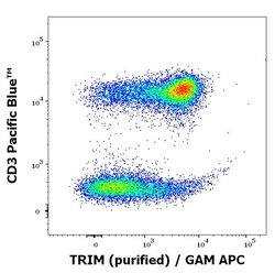 Invitrogen LAT Monoclonal Antibody (LAT-01) 100 &mu;g; Unconjugated:Antibodies,