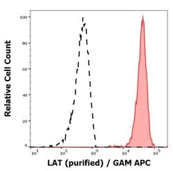 Invitrogen LAT Monoclonal Antibody (LAT-01) 100 &mu;g; Unconjugated:Antibodies,