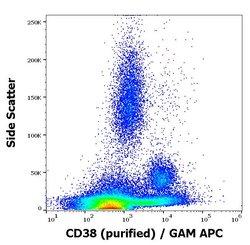 Invitrogen CD38 Monoclonal Antibody (HIT2) 100 &mu;g; Unconjugated:Antibodies,