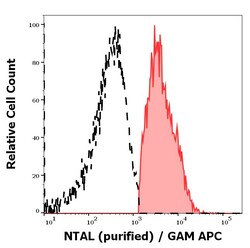 Invitrogen NTAL Monoclonal Antibody (NAP-07) 100 &mu;g; Unconjugated:Antibodies,