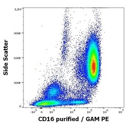Invitrogen CD16 Monoclonal Antibody (MEM-168) 100 &mu;g; Unconjugated:Anticuerpos