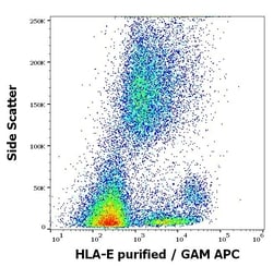Invitrogen HLA-E Monoclonal Antibody (MEM-E/06) 100 &mu;g; Unconjugated:Antibodies,