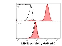 Invitrogen LIME Monoclonal Antibody (LIME-10) 100 &mu;g; Unconjugated:Antibodies,