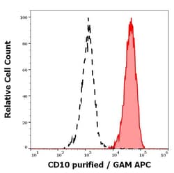 Invitrogen CD10 Monoclonal Antibody (LT10) 100 &mu;g; Unconjugated:Antibodies,
