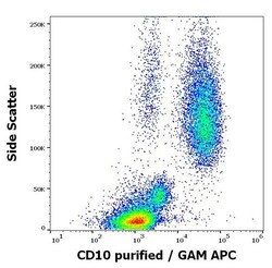 Invitrogen CD10 Monoclonal Antibody (LT10) 100 &mu;g; Unconjugated:Antibodies,