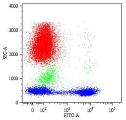 Invitrogen CD5 Monoclonal Antibody (CRIS1) 100 &mu;g; Unconjugated:Antibodies,