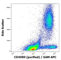 Invitrogen CD45RO Monoclonal Antibody (UCHL1) 100 &mu;g; Unconjugated:Antibodies,