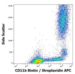 Invitrogen CD11b Monoclonal Antibody (MEM-174), Biotin 100 &mu;g | Buy Online | Invitrogen&trade; | Fisher Scientific
